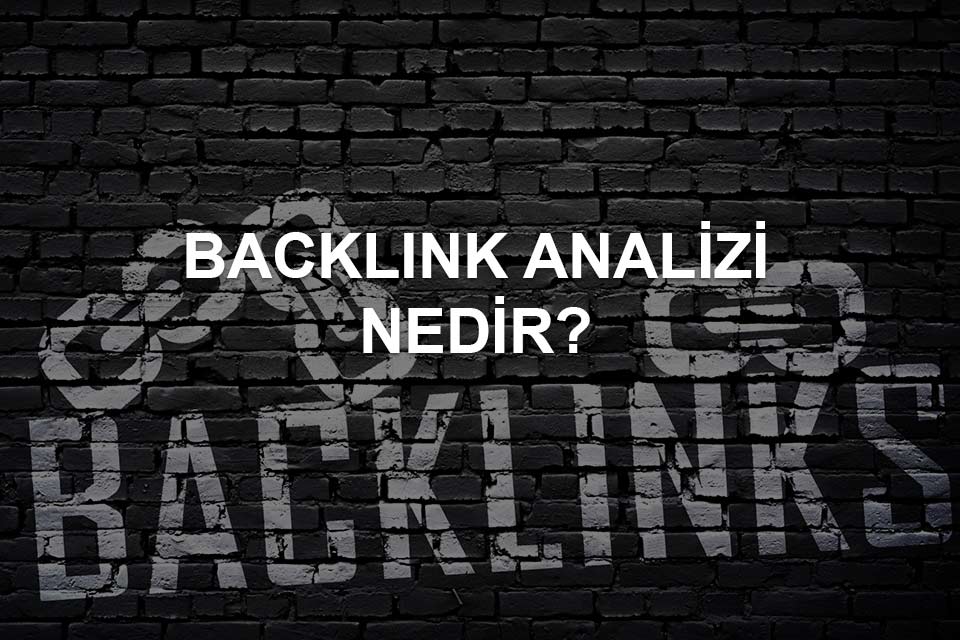 backlink analizi